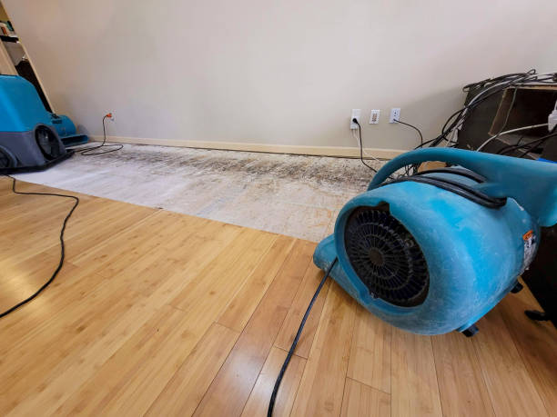Professional Burst Pipe Water Damage technician working in Venice, IL